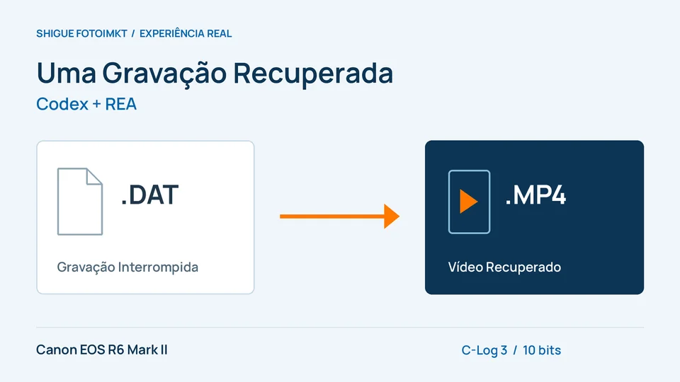 Ilustração do percurso de um arquivo DAT que não abre até um vídeo MP4 recuperado com o apoio de Codex e REA
